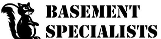 BASEMENT SPECIALISTS logo