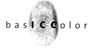 BASIC COLOR logo