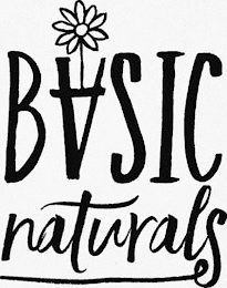 BASIC NATURALS logo
