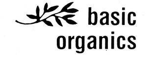 BASIC ORGANICS logo