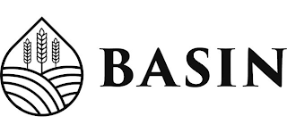 BASIN logo