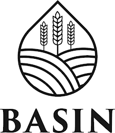 BASIN logo