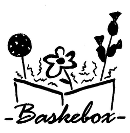 BASKEBOX logo