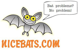 BAT PROBLEMS? NO PROBLEM. NICEBATS.COM logo
