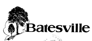 BATESVILLE logo