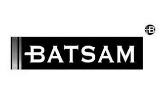 BATSAM B logo