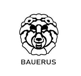 BAUERUS logo