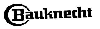 BAUKNECHT logo