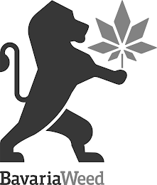 BAVARIA WEED logo