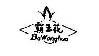 BAWANGHUA logo