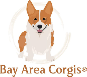 BAY AREA CORGIS logo