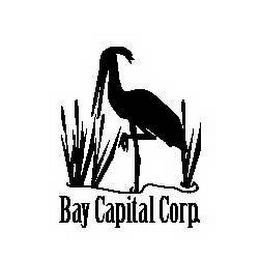 BAY CAPITAL CORP. logo