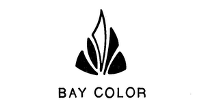 BAY COLOR logo