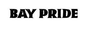 BAY PRIDE logo