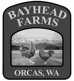BAYHEAD FARMS ORCAS, WA logo