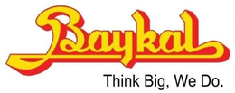 BAYKAL THINK BIG, WE DO. logo