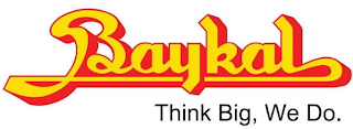 BAYKAL THINK BIG, WE DO. logo