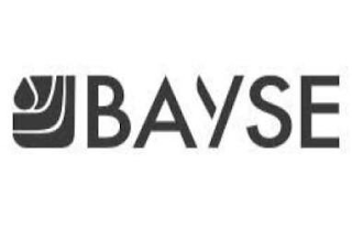 BAYSE logo