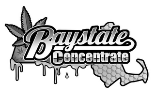 BAYSTATE CONCENTRATE logo