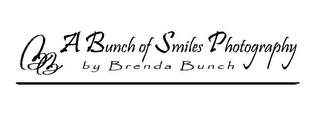 BB A BUNCH OF SMILES PHOTOGRAPHY BY BRENDA BUNCH logo