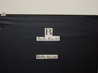BB BELLA BICCHÍ logo