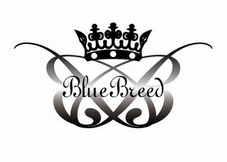 BB BLUE BREED logo