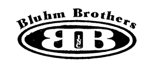 BB BLUHM BROTHERS INC. logo