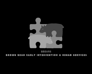BBEARS BROWN BEAR EARLY INTERVENTION & REHAB SERVICES logo