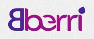 BBERRI logo