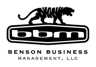 BBM BENSON BUSINESS MANAGEMENT, LLC logo