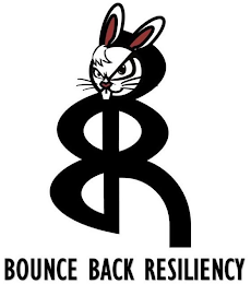 BBR BOUNCE BACK RESILIENCY logo
