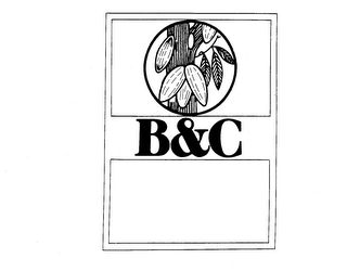B&C logo