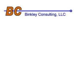 BC BINKLEY CONSULTING, LLC logo