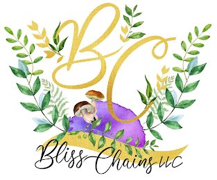 BC BLISS CHAINS LLC logo