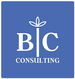 BC CONSULTING logo