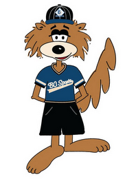 BC SPORTS BC SPORTS logo