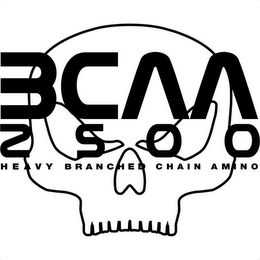 BCAA 2500 HEAVY BRANCHED CHAIN AMINO logo