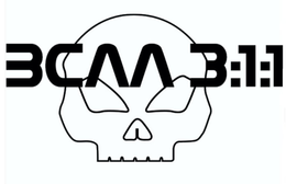 BCAA 3:1:1 logo