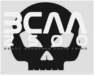 BCCA2500 HEAVY BRANCH CHAIN AMINO logo