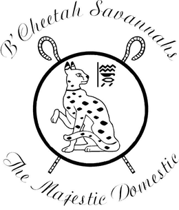 B'CHEETAH SAVANNAHS THE MAJESTIC DOMESTIC logo
