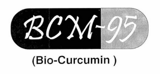BCM- 95 ( BIO CURCUMIN) logo