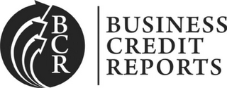 BCR BUSINESS CREDIT REPORTS logo