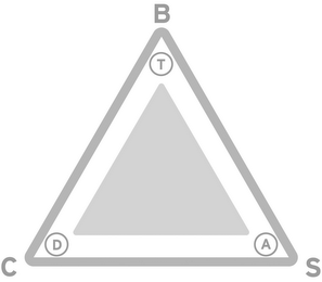 BCS TDA logo