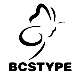 BCSTYPE logo