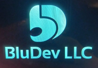 BD BLUDEV LLC logo