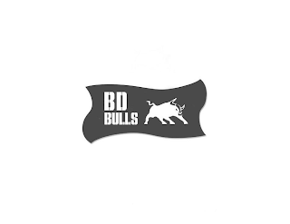 BD BULLS logo
