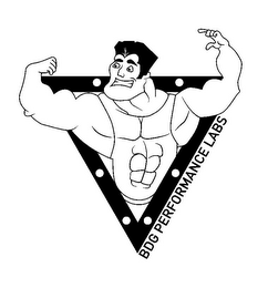 BDG PERFORMANCE LABS logo