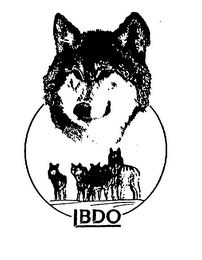 BDO logo