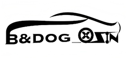 B&DOG XSIN logo