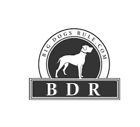 BDR BIG DOGS RULE . COM logo